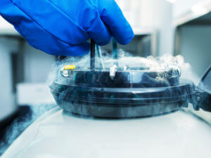 Freezing, or cryopreservation, of embryos is a common procedure