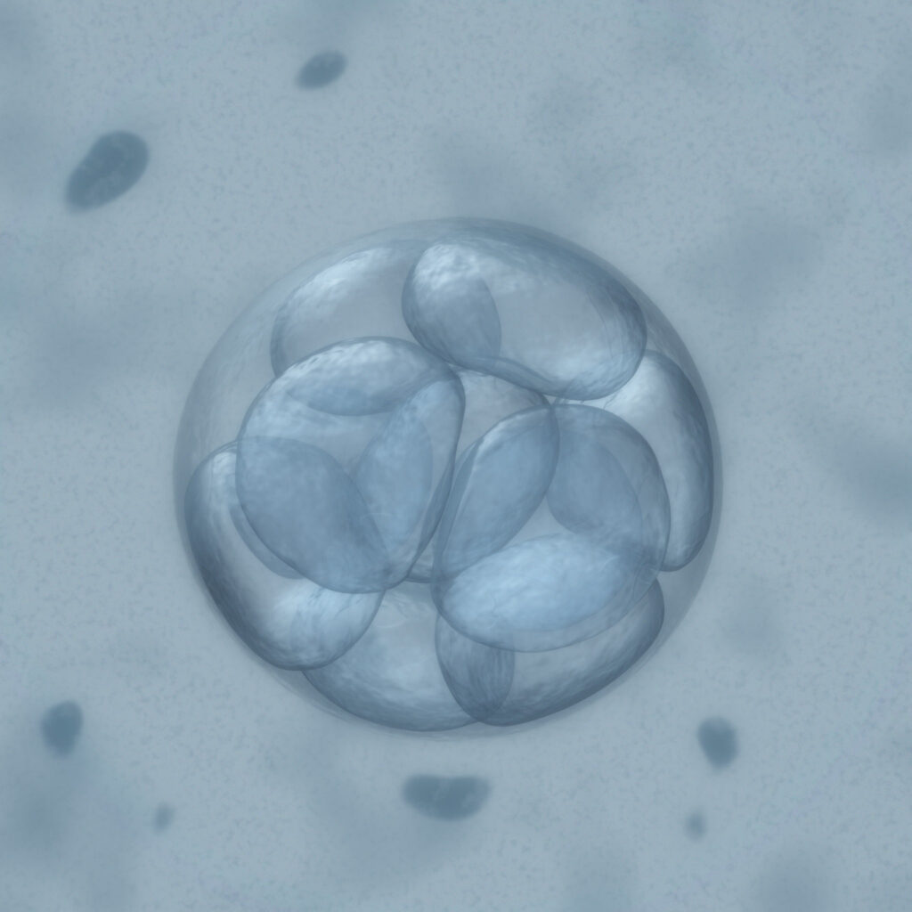 How Many Babies are Born Through IVF?